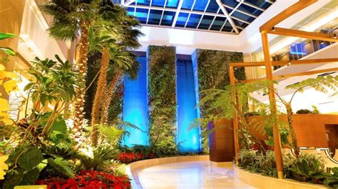 bloomberry resort|Home .